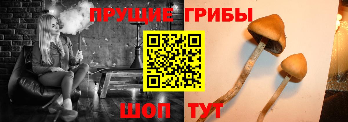 Галлюциногенные грибы Cubensis  Вход с VPN  магазин продажи наркотиков  Псков 